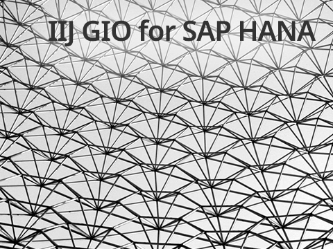 IIJ GIO for SAP HANA