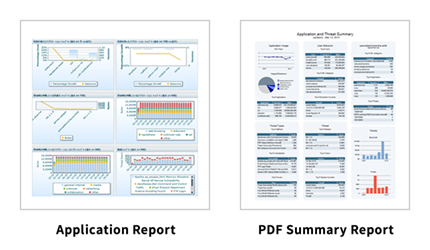Application Report