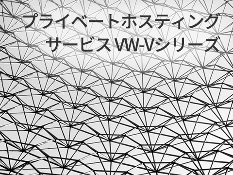 プライベートホスティングサービス VW-Vシリーズ