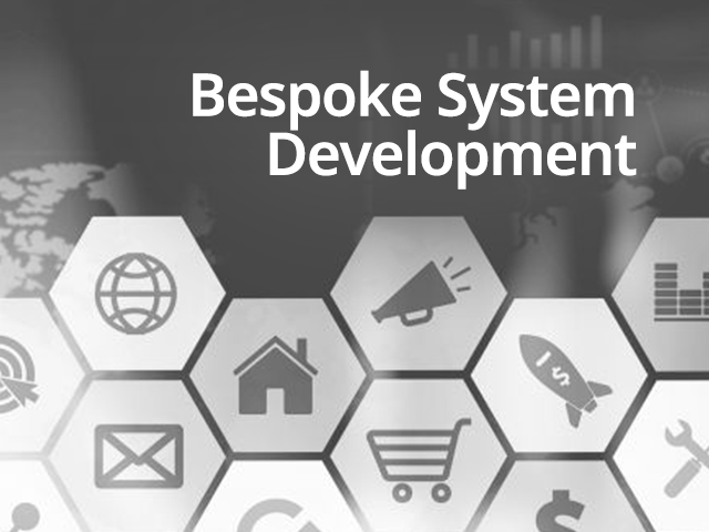 Bespoke System Development