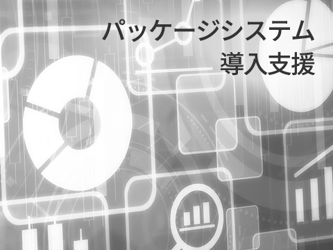 packaged-system_thumb_jp