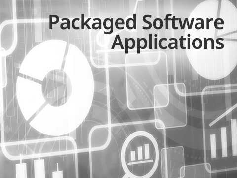 Packaged Software Applications